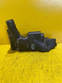 Luftresonator Renault Clio III 8200323523