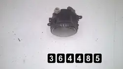 Dimljus OEM AM-364485 för Citroen C5 2006