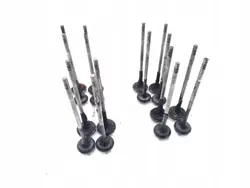 Gebrauchtes Ventil OEM A20DTH für Opel Insignia 2.0 CDTI