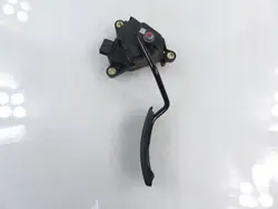 Gaspotentiometer Renault Scenic II