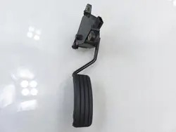 Potenziometro Gas Renault Scenic II