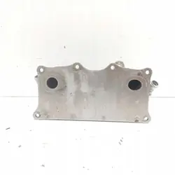 Porsche OE MAM69186 Vaihteistoöljynjäähdytin