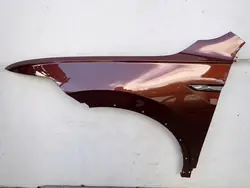 Fram vänster skärm VW Tiguan 2 II 2020- OEM 5NA821105E