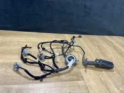 Harness porta traseira direita Jaguar F-Pace OEM HK8314632JC