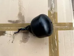 ABC fjädersfär bak A2213280015 Mercedes CL W216 W221