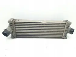 Intercooler 2.0 D Ford Transit MK8 GK21-6K775-AE