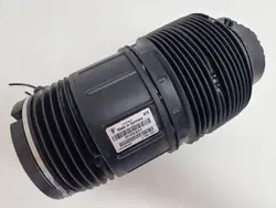 Porsche Panamera 971 Molla Aria Posteriore 971616025H 971616026H