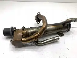 Enfriador EGR OEM LORK-2033-19844 para Audi A4 B7 2.0