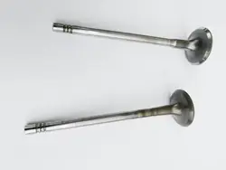 Jaguar OE Sylinterinkansi Venttiili OEM PBG4D3 Käytetty