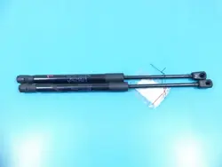 OEM 7348853 Verins de Capot Set BMW F45 F46