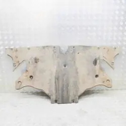 Bakre centrala underkåpa TESLA 2019