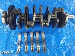 OEM 55584458 Krukaslagers voor Opel 2.0 B20DTH