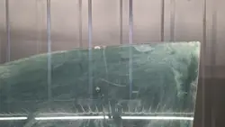 Vitre Portière Avant Gauche Volvo S80 OEM Szyba