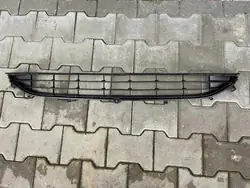 Frontstoßstangengitter Ford Fiesta 17-