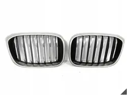 BMW X3 G01 X4 G02 M40iX Front Grill 17-20 OEM