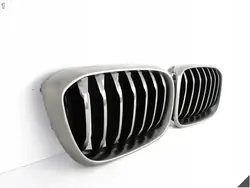 Fram grill BMW X3 G01 X4 G02 M40iX 17-20 OEM