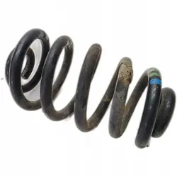 Audi OE Bakfjädring Vänster/Höger 250mm x 16mm