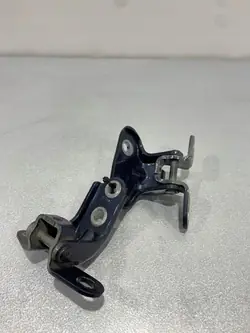 Kia OEM FBZ18253 Achterdeurscharnieren - Gebruikt