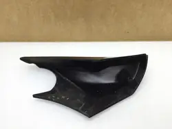 Renault Scenic IV Rechter Spiegelabdeckung OEM 13013050 001