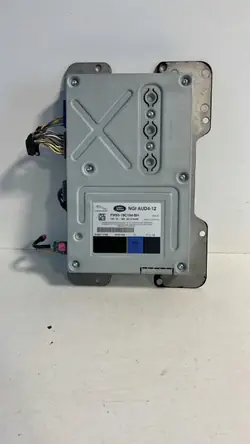 Amplificador de Áudio Land Rover OEM FW93-19C164-BH