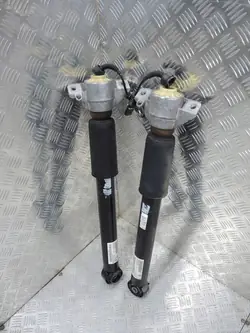 Ammortizzatori posteriori Porsche Macan 95B