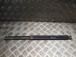 BMW X5 E53 Vänster Baklucka Dämpare OEM