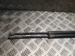 Amortecedor traseiro esquerdo BMW X5 E53 OEM