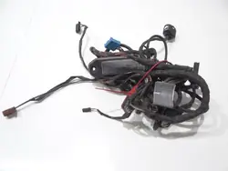 Harness Porta Direita Traseira BMW F01 OEM 9212204