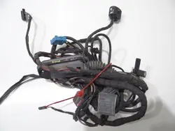 Rechte Hintertür Kabelbaum BMW F01 OEM 9212204