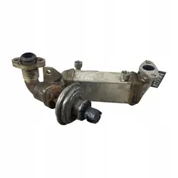 Enfriador EGR BMW 1 (E87) 2.0L Diesel 2008 OEM 7805189