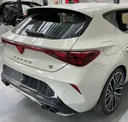 Ensemble arrière SEAT OE pour Cupra Leon VZ 2025 LS7A