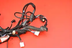 Faisceau OEM 1004428-00-R Hayon Tesla Model S 16-21