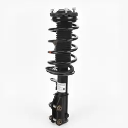 Stoßdämpfer Vorne Rechts OEM 10598786 - Gebraucht