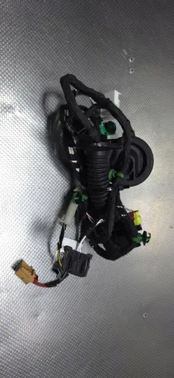 Faisceau Porte Avant Gauche OEM 2GA971120CB