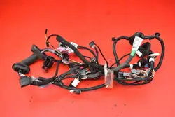 Harness Porta OEM 2004424-00-B Direito Traseiro