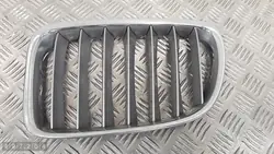 Griglia BMW X1 E84 2013 51112993305