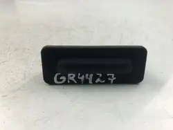 Kofferraumgriff OEM 17133473 für Peugeot 308