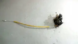 Vänster Främre Lås Audi A3 8L 8L1837015