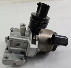 Ölpumpe OEM 462202N500 für Hyundai Elantra Santa Fe