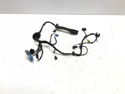 Harness Puerta Delantera Derecha OEM 571971162AA