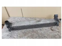 Intercooler Renault Scenic III 144960006R