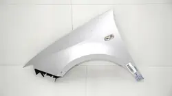 Aleta delantera izquierda OEM 360150588 para Seat Ibiza IV