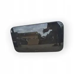 Vidro traseiro escurecido OEM 73WTEILE 4h02014 9GW