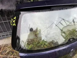 Vitre Hayon VW PASSAT B7 VARIANT - Pièce OEM