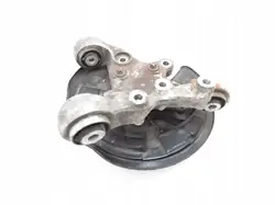 Pivot de roue arrière gauche OEM 2460306