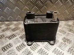 Radiador de óleo Mercedes-Benz ML W163 OEM 6131880101