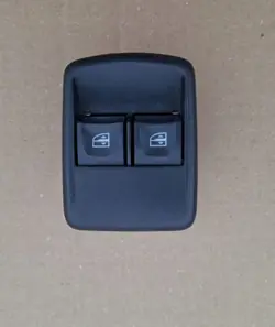 OEM 254117873R Painel Janela Dacia - Usado