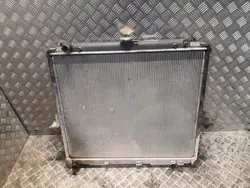 Radiador Nissan Pathfinder R51 2008 OEM 21410EB30A