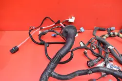 Faisceau Moteur OEM P2489058-02-B Tesla Model Y
