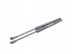 Conjunto de capó delantero Audi A5 2017 Coupé 4/5dr OEM 8W0823359B